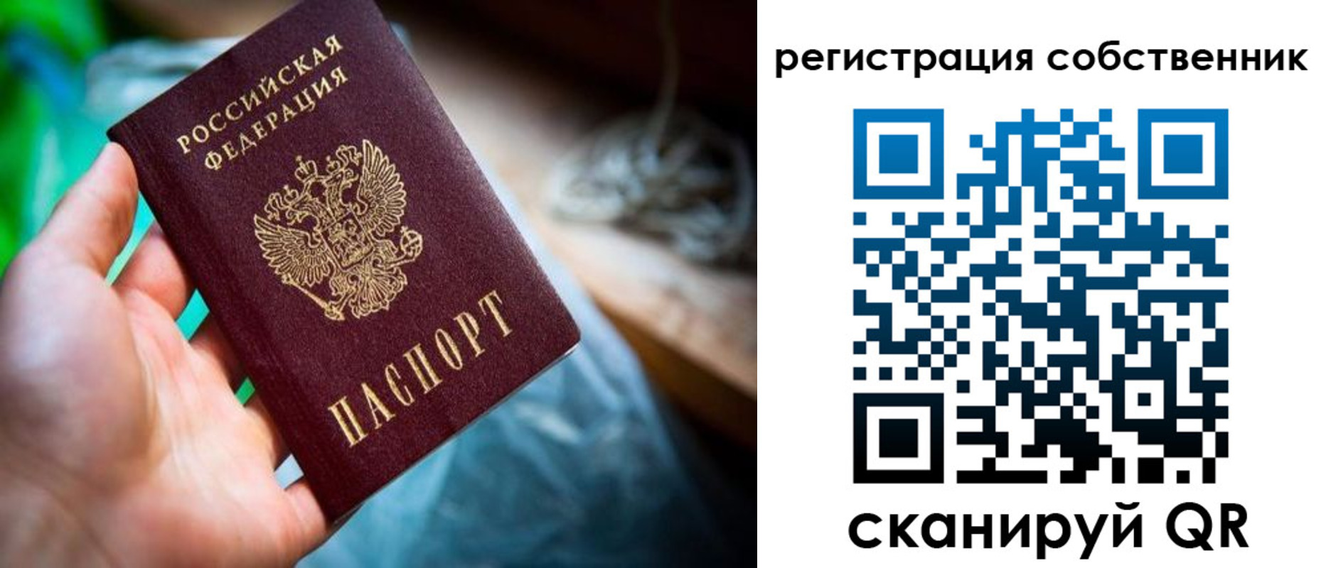 прописка гарантия в Елизово